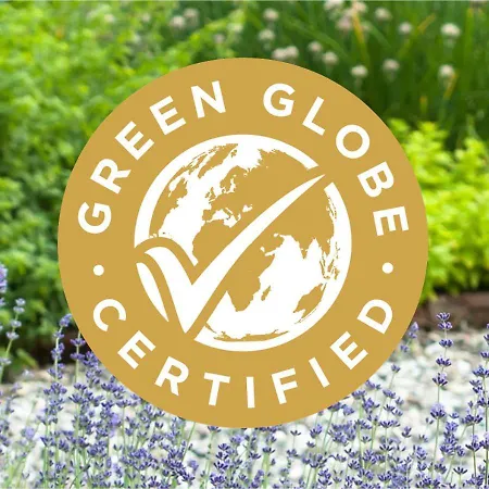 Living Grosser Kurfuerst 4*